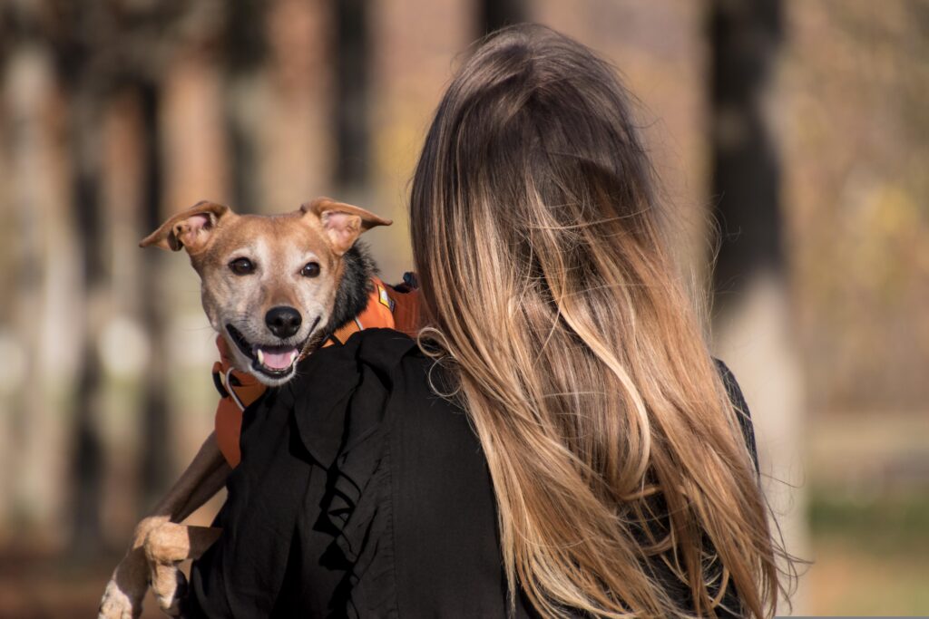 rebeccaspictures dog 5753302