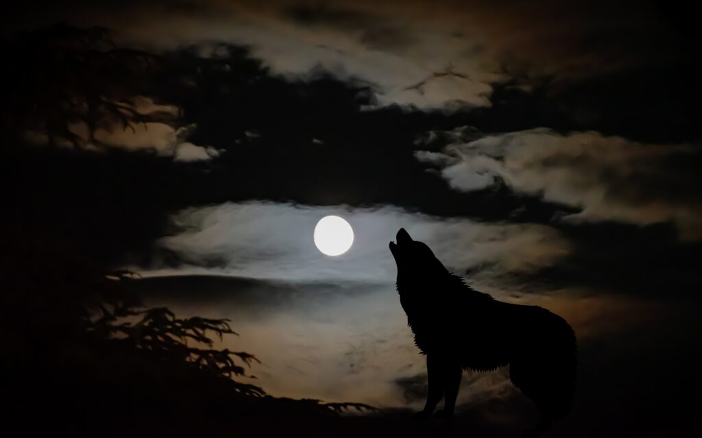 ri ya werewolf 7644035